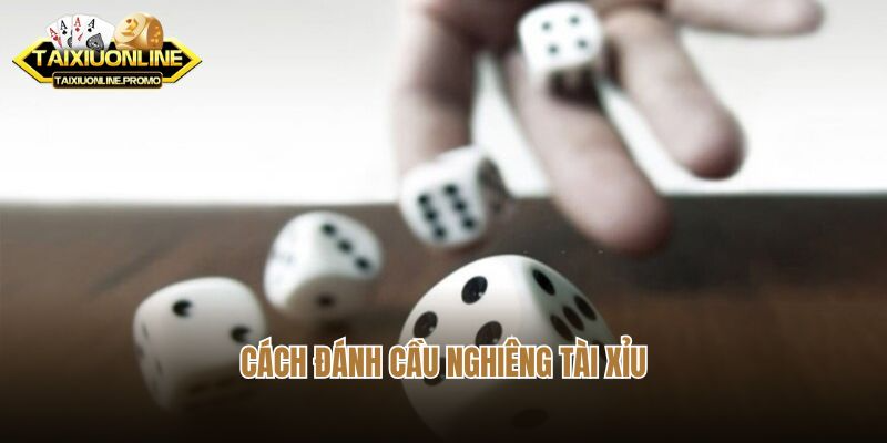  Cách Đánh Cầu Nghiêng Tài Xỉu Có Tỷ Lệ Trúng Lớn 
