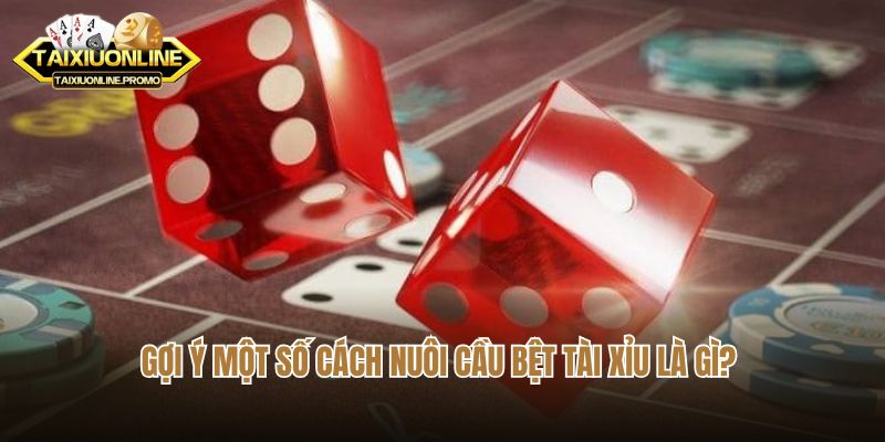 Gợi ý một số cách nuôi cầu bệt tài xỉu là gì?